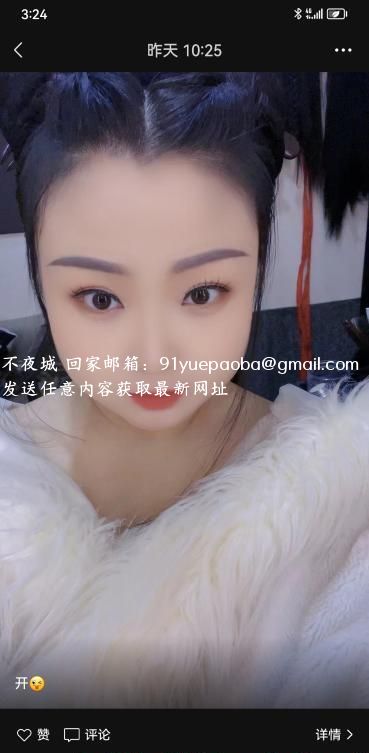 西青东北猫咪