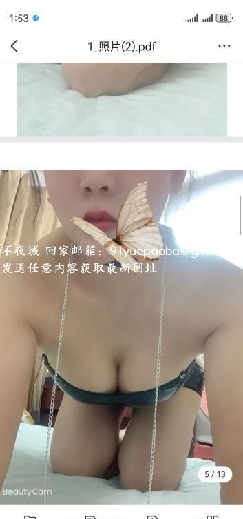 体育西三通大波燕