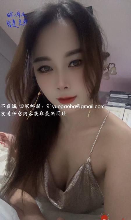包河小猫咪