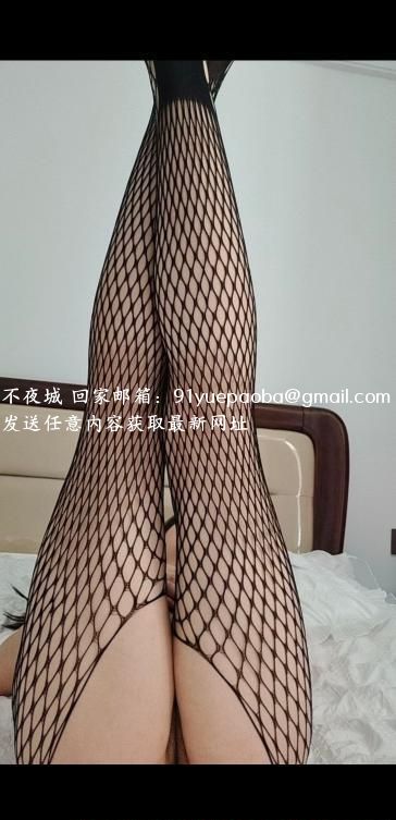 开发区懒猫回归