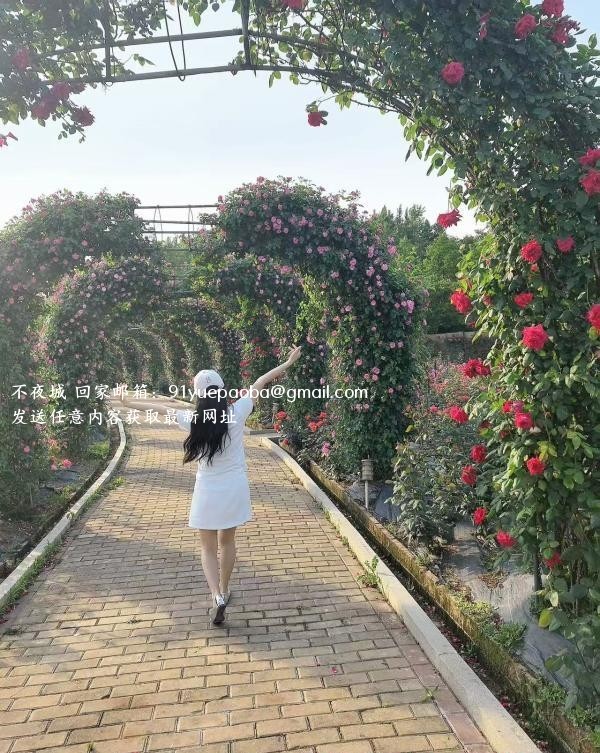 风一般的恋人