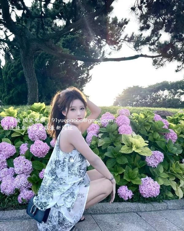 张家大小姐