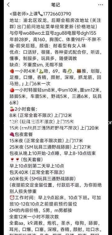 重庆猫老师
